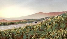 交易吉日 生肖属兔2021年农历五月提新车黄道吉日