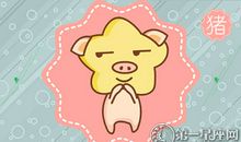 属猪在网上如何谈恋爱