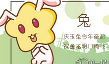 属兔的爱情誓言有多可信