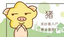 属猪的爱情誓言有多可信