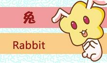 99年生肖属兔人的2021年运势怎么样 22岁运气如何