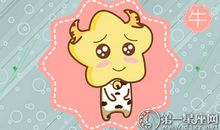 属牛在网上如何谈恋爱