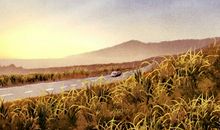 提车看日子 2021年5月适合属马提车的黄道吉日吉时