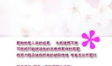 2014年面对催婚天秤的应对方式