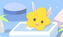 生肖兔2021年的运势详解 一年12个月完整解析