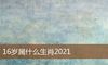 16岁属什么生肖2021