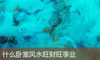 什么卧室风水旺财旺事业