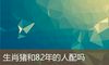 生肖猪和82年的人配吗