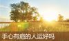 手心有疤的人运好吗