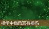 相学中扇风耳有福吗