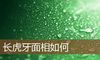 长虎牙面相如何