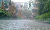 梦见下暴雨