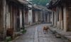 潮汕有哪些地方民俗？