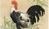 十二生肖中鸡的财运在哪里？