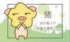 本周生肖猪命运（8.2-8.8）