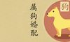 94年属狗什么时候结婚好 上等婚配属相有哪些