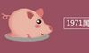 1971属猪2020年的运气