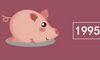 1995属猪姻缘