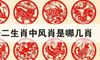 风肖雨肖是哪几个生肖