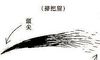 脸相分析什么是扫帚眉
