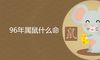 96年属鼠的是什么命 命苦说法可信吗
