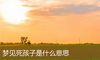 梦见死孩子是什么意思