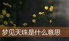 梦见天珠是什么意思