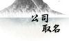 取医药公司的名字大全 响亮大气的公司名字
