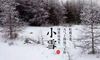 今年小雪几月几日 小雪节气的由来和风俗简单介绍