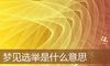 梦见选举是什么意思