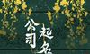 带林字公司取名字大全 免费的公司名字合集