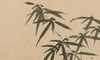 精灵耳朵面相好不好