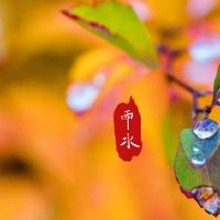 这是雨水和水的美好生活吗？财富怎么样？