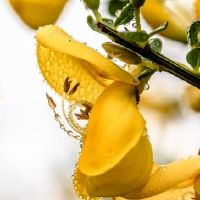 详细地走出雨水和痰