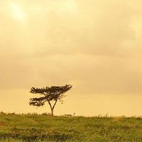 怎么吃十天？如何在Hihai Day进行？