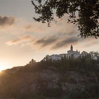 你能喝牛奶吗？牛奶是素食主义者吗？