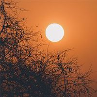 如何抑制第十天？脾气暴力出现的原因