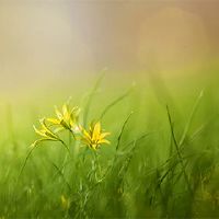 你能过丈夫和妻子吗？在同一个房间后推荐付款