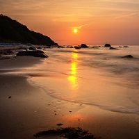 Tenthill日的优点是什么？