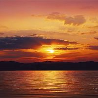 你下午要吃吗？下午