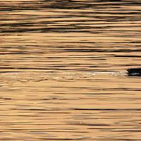 如何每天练习交货？佛教十个rangeri的代表是什么？