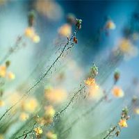 如果我不这样做，我该怎么办？如何练习送货？