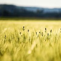 我应该在每天十个时注意什么？什么不能在十个da？