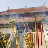 如何解释灾难香？二十四个香的特征是什么？