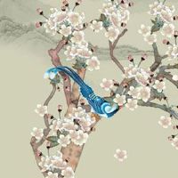 吸财旺财的手机号码 最新加旺运势的号码数字