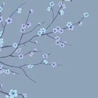 如何选手机号码最旺财 免费看最旺运的号码尾数