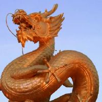 2月2日龙看起来很好参与吗？ 2月2日，你需要走路吗？