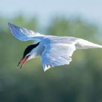 2022年的具体时间是多少？假期是什么？