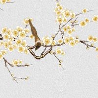 最新三字的商贸名字 寓意好的贸易公司名字