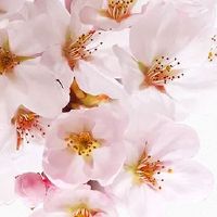 2022年农历二月二十七是结婚好日子吗 这天是不是吉日